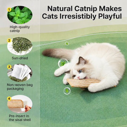6Catnip Dental Chew Toy for Cats | Teeth Cleaning & Plaque Control Stick