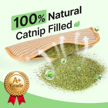 6Catnip Dental Chew Toy for Cats | Teeth Cleaning & Plaque Control Stick