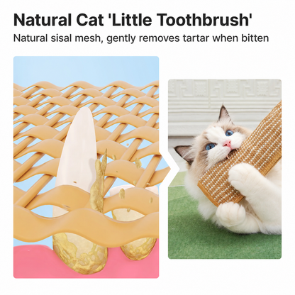 6Catnip Dental Chew Toy for Cats | Teeth Cleaning & Plaque Control Stick