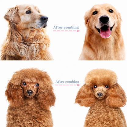 🐾 Professional Deshedding Tool for Dogs & Cats – Gentle, Efficient & Fur-Free Home ✨💖（Big Sale）