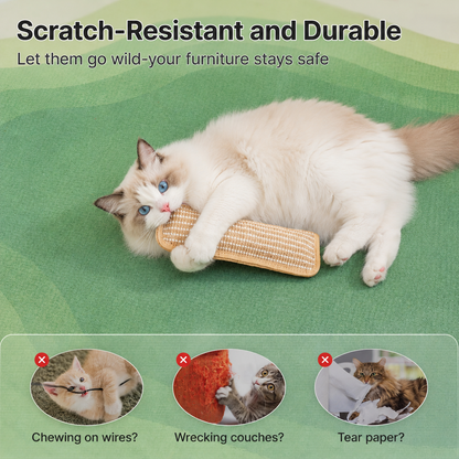 6Catnip Dental Chew Toy for Cats | Teeth Cleaning & Plaque Control Stick